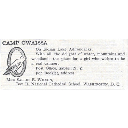 Camp Owaissa Sallie E. Wilson Washington DC c1918 Magazine Advertisement AE5-SA3
