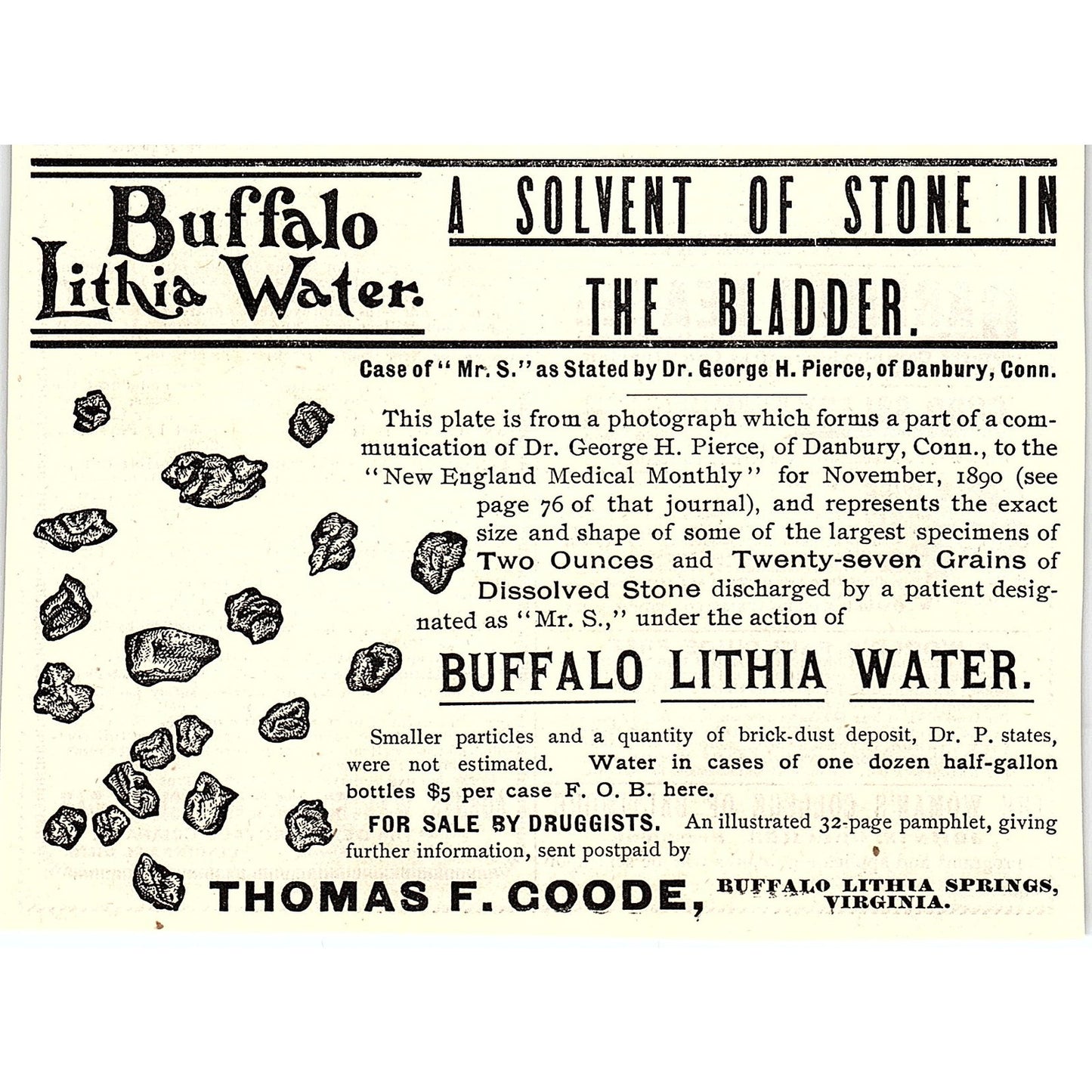 Buffalo Lithia Water Case of Mr. S. by George H. Pierce VA 1892 Ad AG2-H5