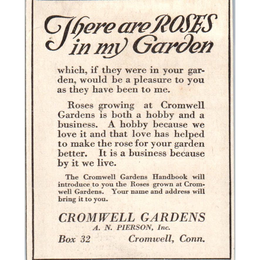 Roses Cromwell Gardens A.N. Pierson Inc Cromwell CT 1918 Magazine Ad AF1-SS2