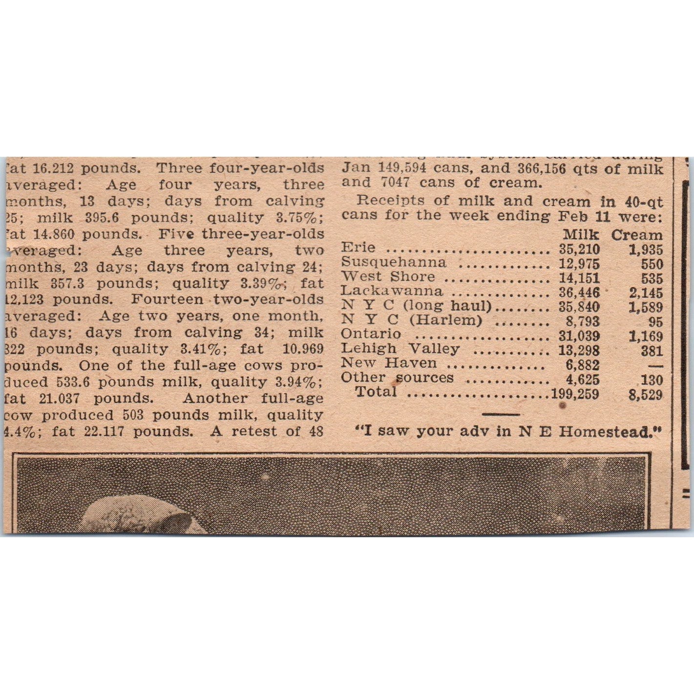 Planet Jr. Tools S.L. Allen & Co Philadelphia Farming 1905 Magazine Ad AF1-NH4