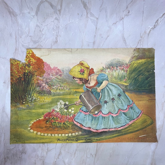 1907 Mary Mary Quite Contrary Boston Globe Vintage Art Print 11x17 FL6-4