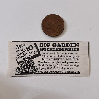 Good Luck Gardens Big Garden Huckleberries Paradise PA 1936 Ad SAG4-M4