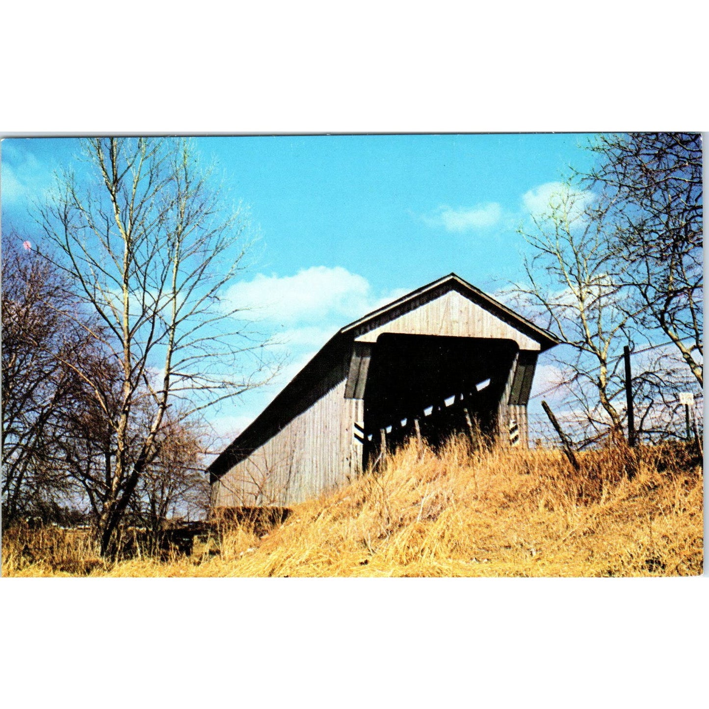Pickaway County Walnut Creek Ashville Ohio Covered Bridge Postcard PB10