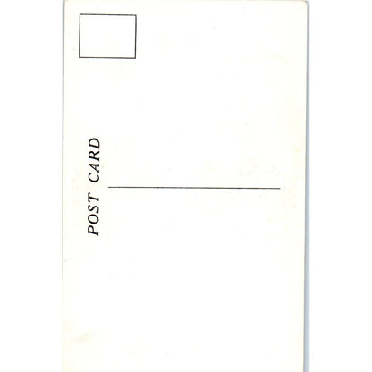 Dresden Room Home of Franklin D. Roosevelt Ruth Perkins Safford Vtg Postcard PD3