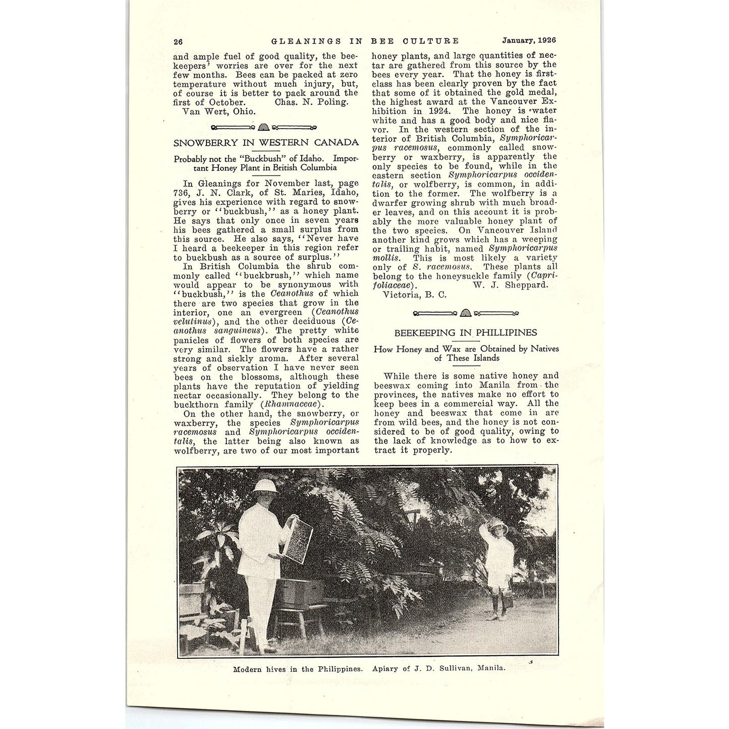 From The Field of Experience Honey in the Home Doris W. McCray 2 Page 1926 AG3-9