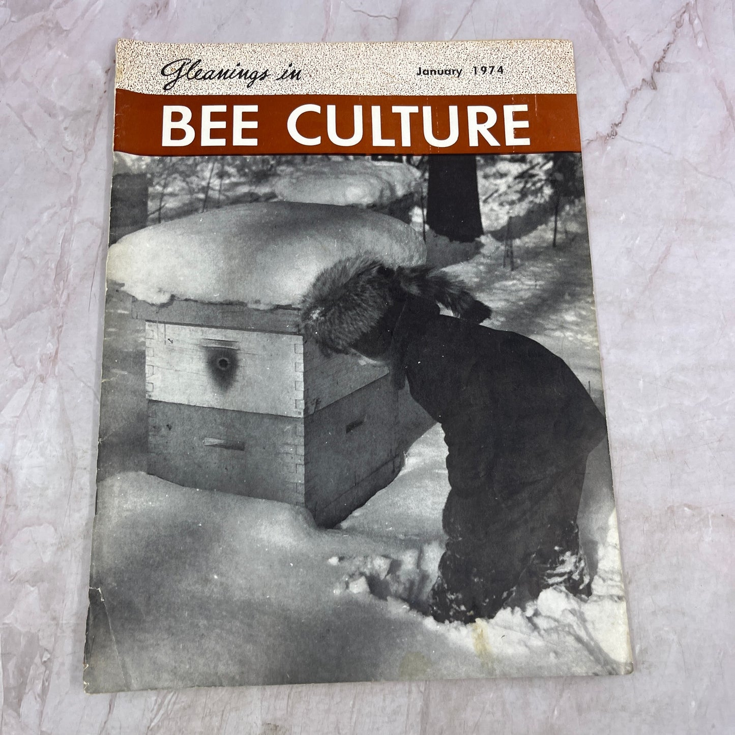 1974 Jan - Gleanings in Bee Culture Magazine - Bees Beekeeping Honey M33