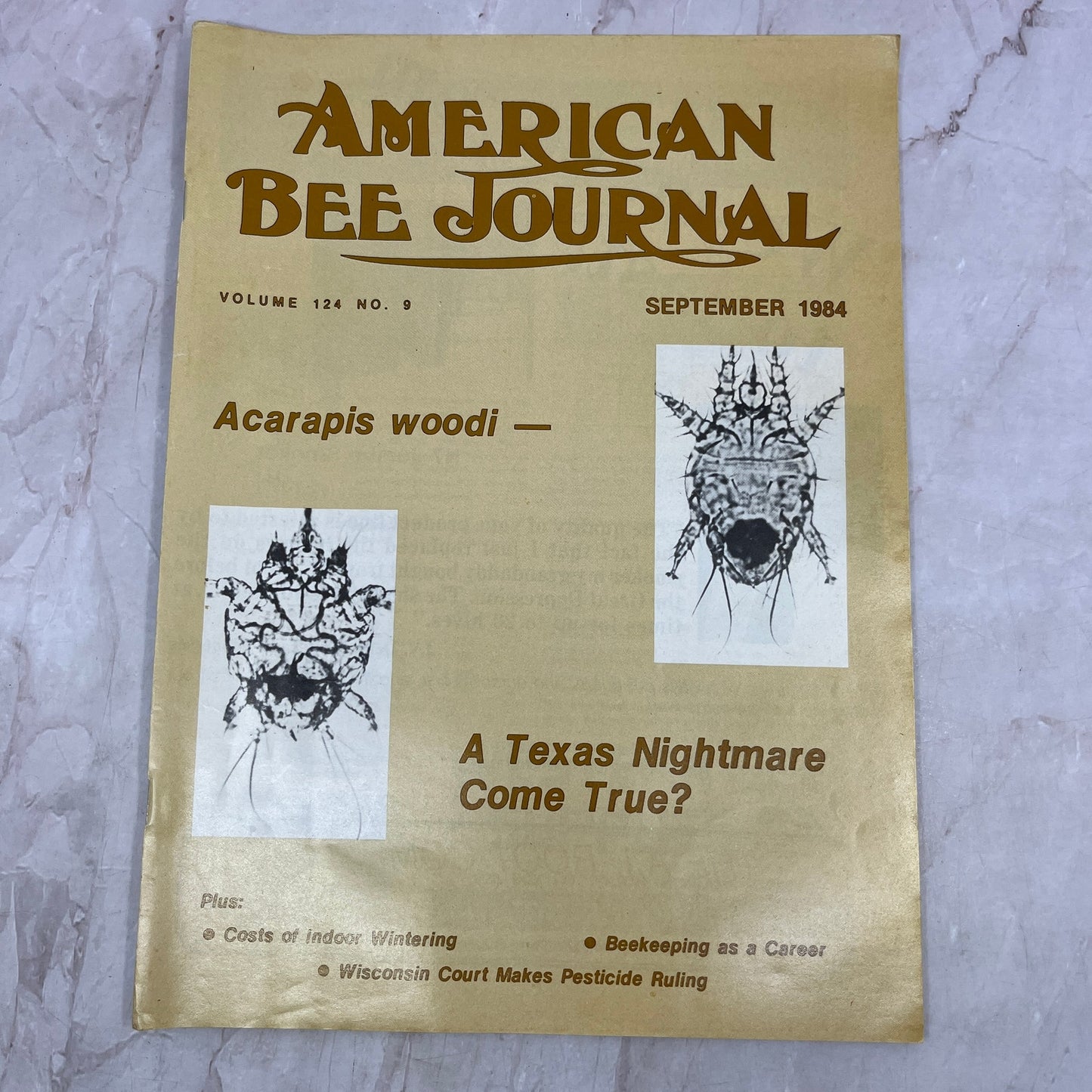 1984 Sep - American Bee Journal - Bees Beekeeping Honey M32
