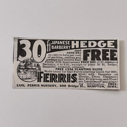 Earl Ferris Nursery 30ft Japanese Barberry Hedge Hampton IA 1936 Ad SAG4-M4