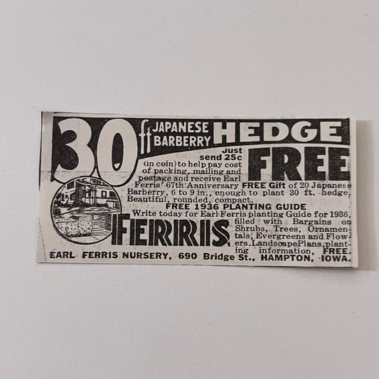 Earl Ferris Nursery 30ft Japanese Barberry Hedge Hampton IA 1936 Ad SAG4-M4
