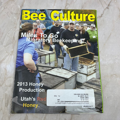 2013 Nov Bee Culture Magazine Bees Beekeeping Honey M8