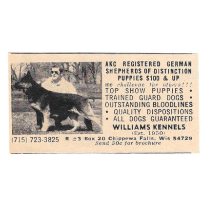 Williams Kennels German Shepherds Chippewa Falls WI 1977 Ad AF6-S2