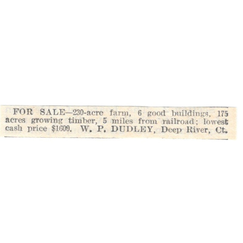 230 Acre Farm Sale W.P. Dudley Deep River CT 1905 Magazine Ad AF1-NES1