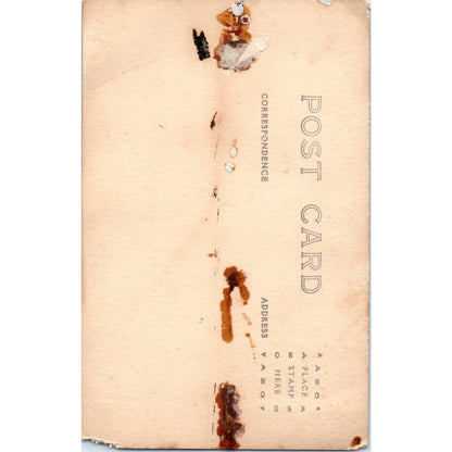 View From Aboard a Steamer Ship RPPC Vintage Postcard PD3