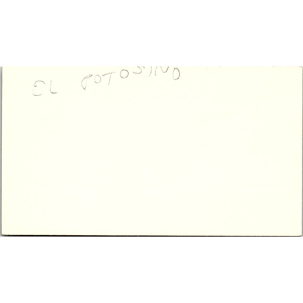 Joe De La Torre Champion Remodeling Co Pasadena TX Vintage Business Card SD9-B3