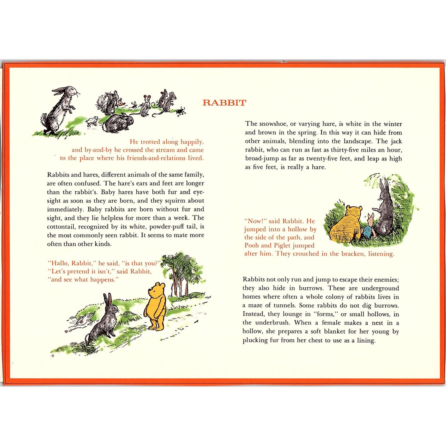 Vintage Winnie the Pooh - Rabbit Vintage Art Print 7.5x11 V6