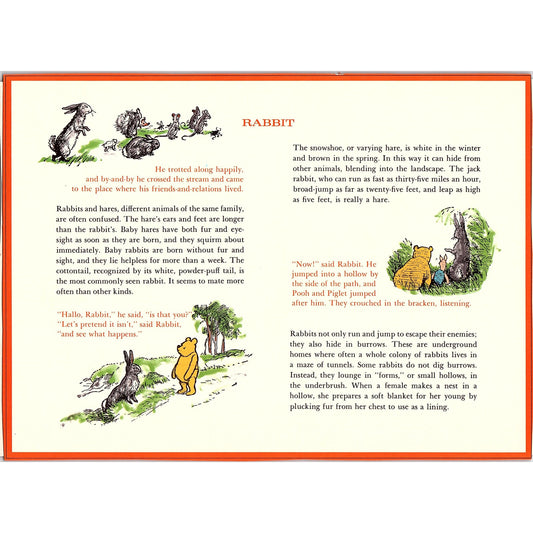 Vintage Winnie the Pooh - Rabbit Vintage Art Print 7.5x11 V6