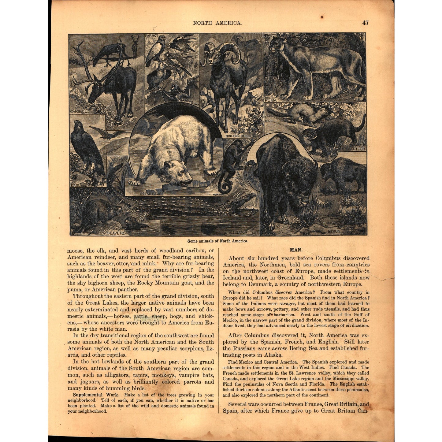 Physical Map of The United States 1901 Map V14-1