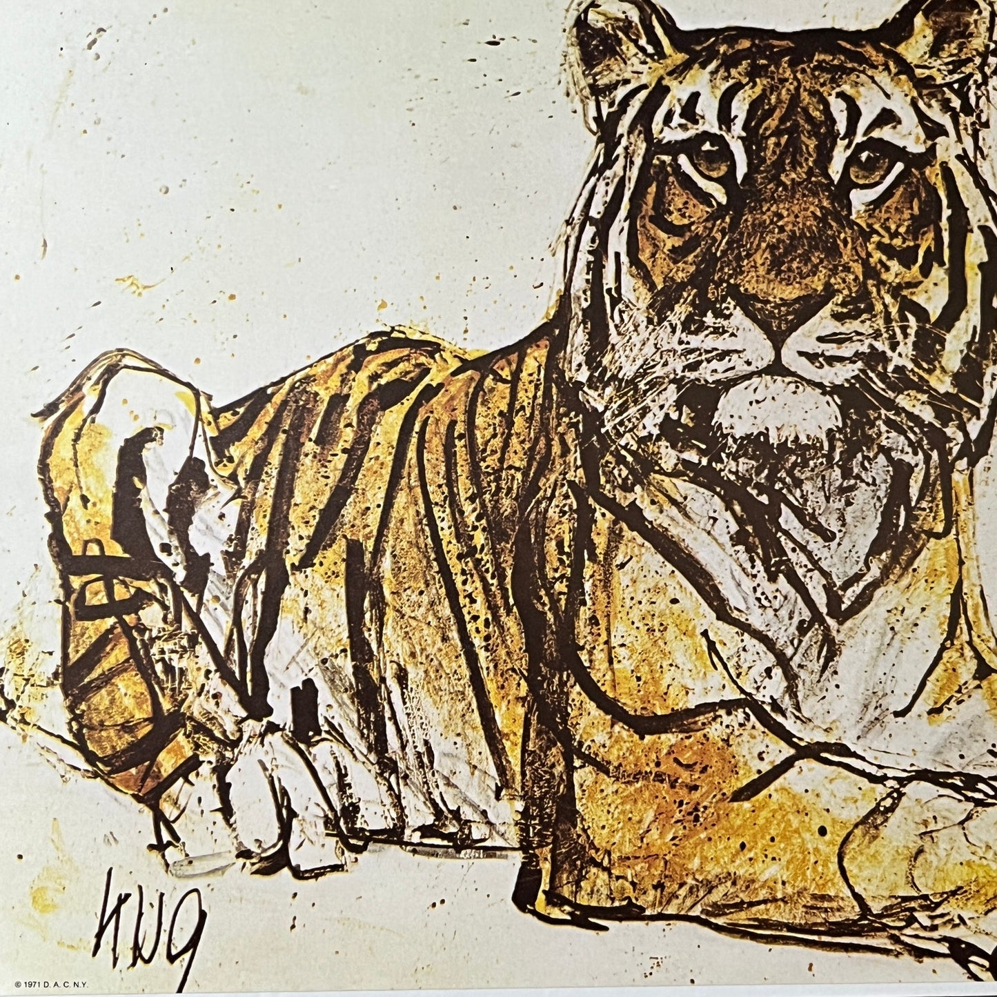 Fritz Hug Tiger Litho Art Print 1971 Kitsch - 9 X 12 Vintage Print V1