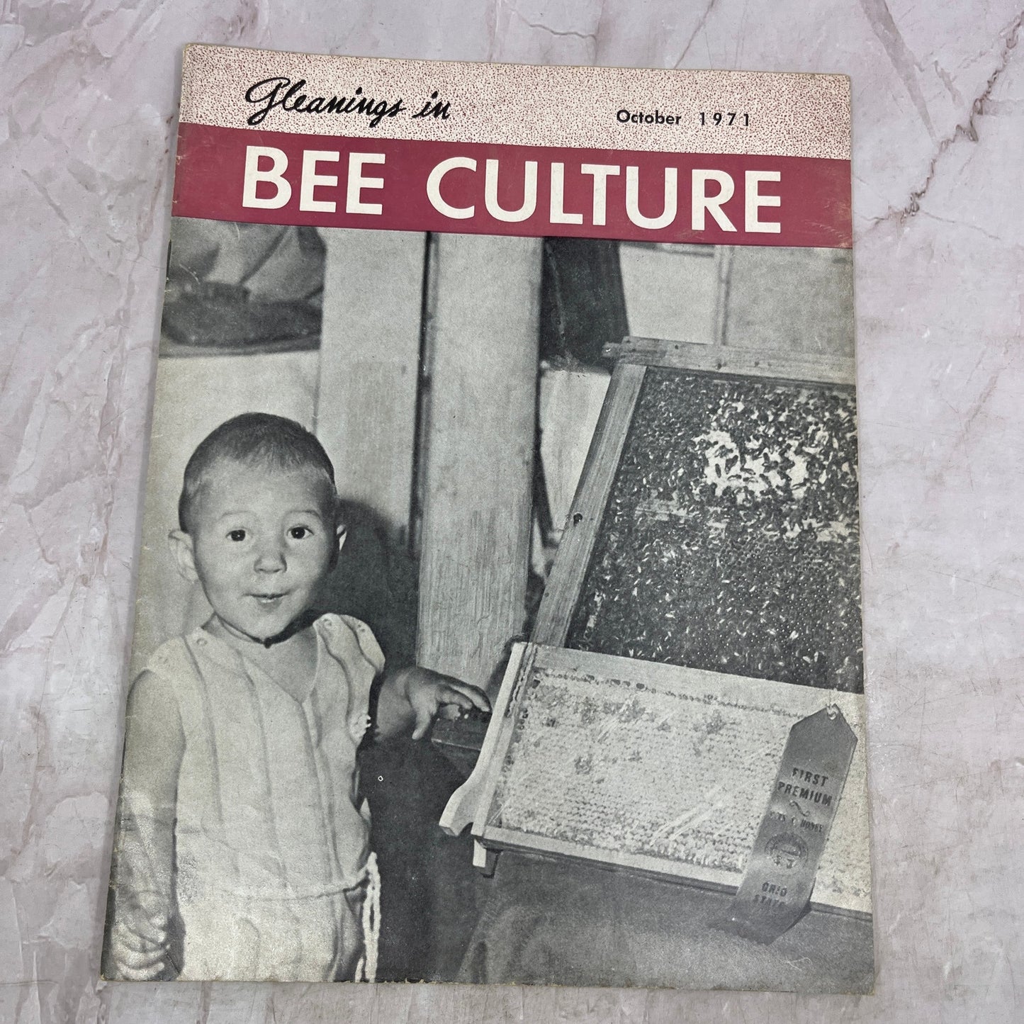 1971 Oct - Gleanings in Bee Culture Magazine - Bees Beekeeping Honey M33