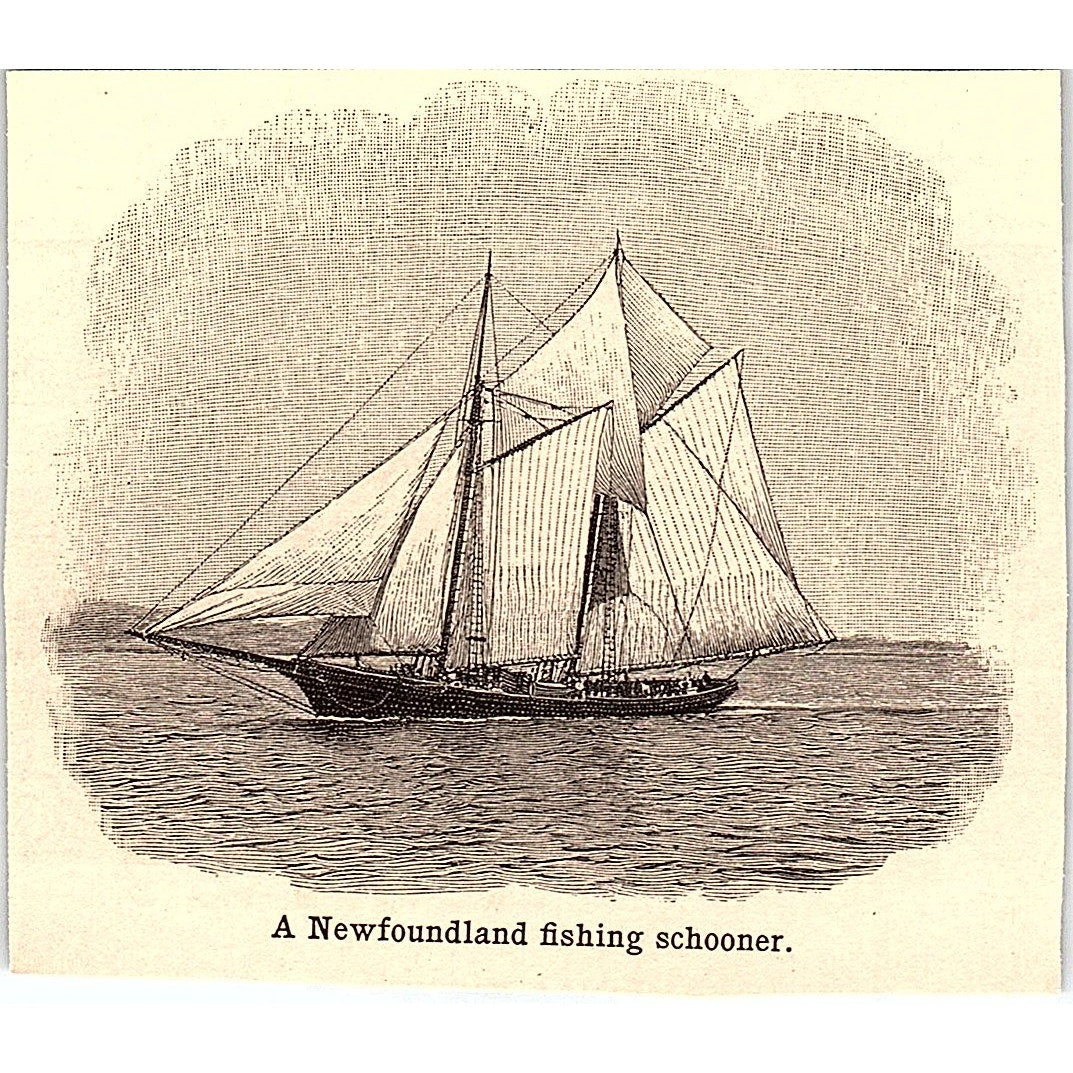 A Newfoundland Fishing Schooner 3x3.5" 1901 Engraving AF6-M10