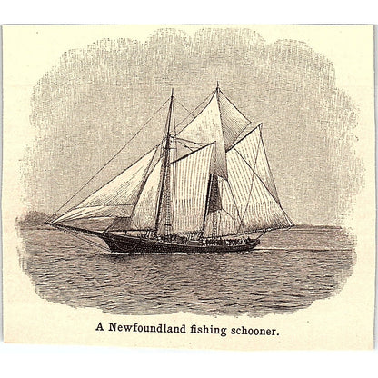 A Newfoundland Fishing Schooner 3x3.5" 1901 Engraving AF6-M10