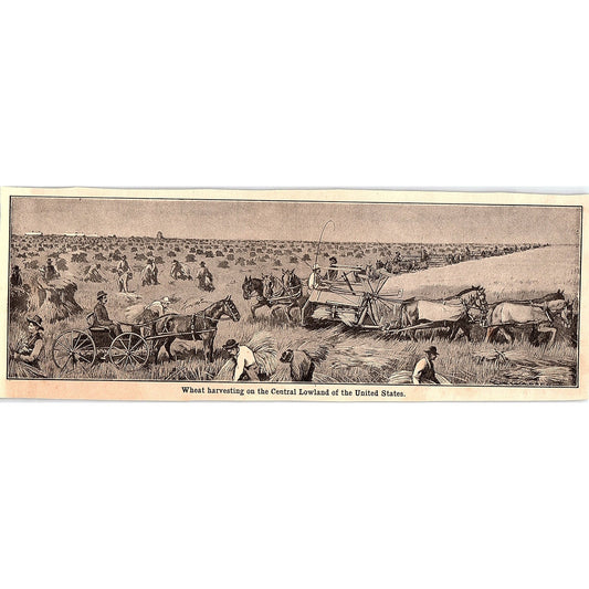 Wheat Harvesting Central Lowland of the USA 3x8" 1901 Engraving AF6-16