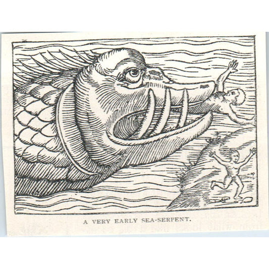 A Very Early Sea Serpent 1897 Victorian Engraving AE9-TS12