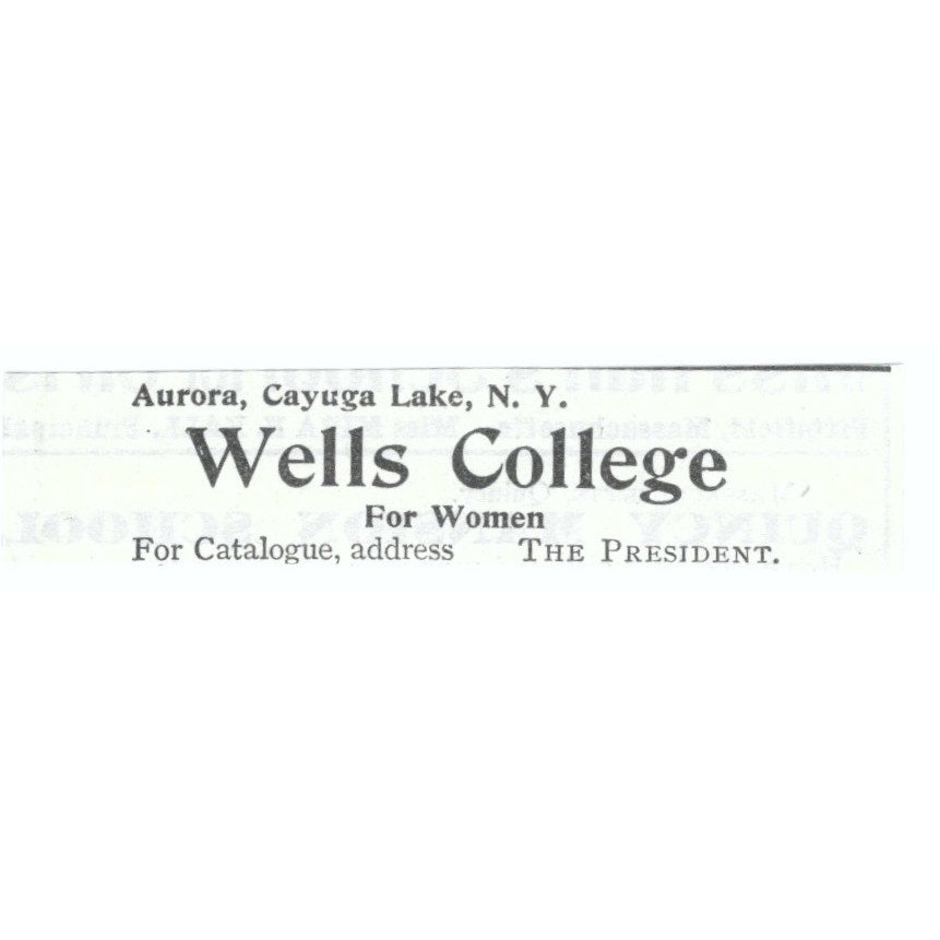 Wells College For Women Aurora Cayuga Lake NY 1903 Magazine Ad AF7-SS1