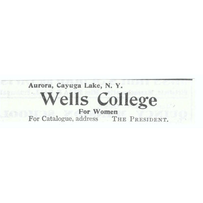 Wells College For Women Aurora Cayuga Lake NY 1903 Magazine Ad AF7-SS1
