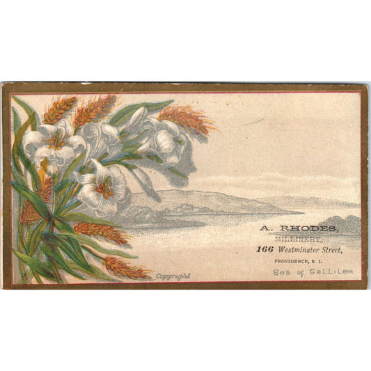 A. Rhodes Millinery Providence RI Sea of Galilee c1880 Victorian Trade Card AB6-1