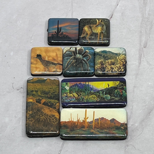Vintage Lot of 8 Southwestern Refrigerator Magnets Tarantula Coyote SB7