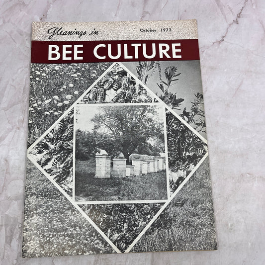 1973 Oct - Gleanings in Bee Culture Magazine - Bees Beekeeping Honey M33