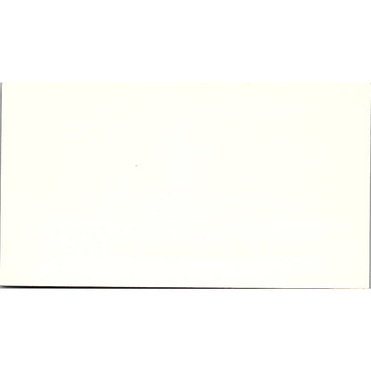 Stefani Theo ComputerCraft Houston TX Vintage Business Card SD9-B2