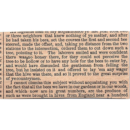 Yachting & Boating High Water for the Week Nov 15, 1878 Article AG2-M8