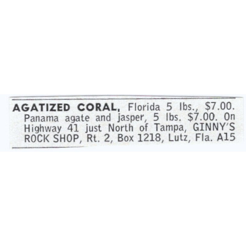 Agatized Coral - Ginny's Rock Shop Lutz Florida 1964 Magazine Ad AK6-S9