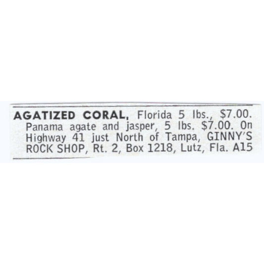 Agatized Coral - Ginny's Rock Shop Lutz Florida 1964 Magazine Ad AK6-S9