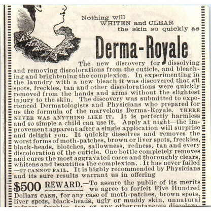The Double Ve Waist Corset Foy, Harmon & Chadwick Co c1890 Victorian Ad AE8-CH10