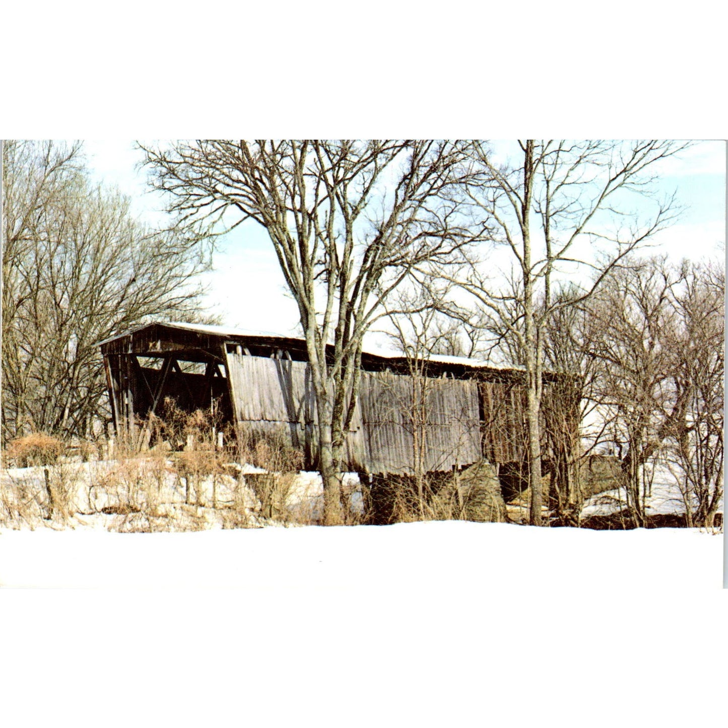 Johnson Creek Bridge Blue Licks State Park Vintage Covered Bridge Postcard PD3