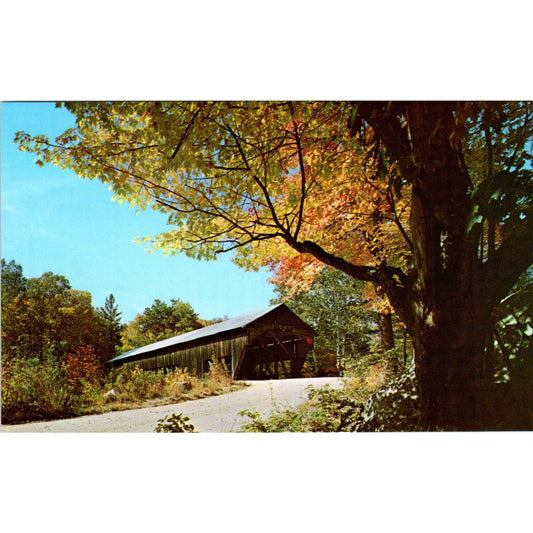 Albany Covered Bridge Swift River White Mountains NH Covered Bridge Postcard PC6