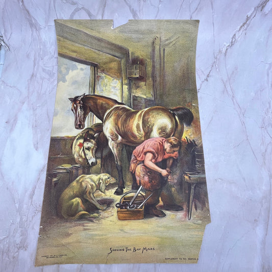 1907 Shoeing the Bay Mare Art Print Lithograph 11x17 FL6-4