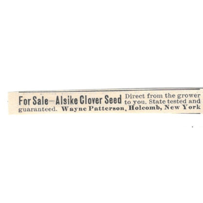 Wayne Patterson Alsike Clover Seed Holcomb NY 1924 Ad AG3-S7