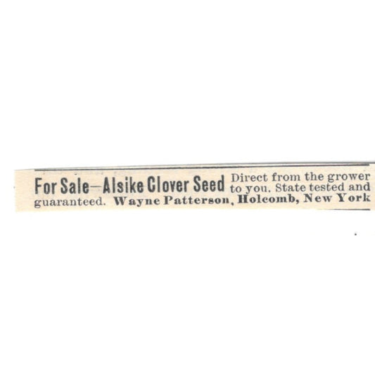 Wayne Patterson Alsike Clover Seed Holcomb NY 1924 Ad AG3-S7