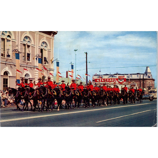 1966 Royal Canadian Mounted Police Mounties Vintage Original Postcard PD3