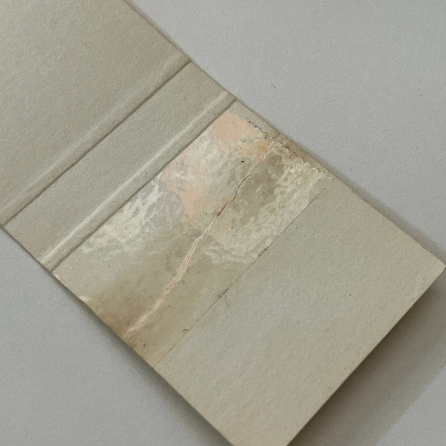 The Pet Place Leominster MA Vintage Matchbook Cover TB6-MB1-14