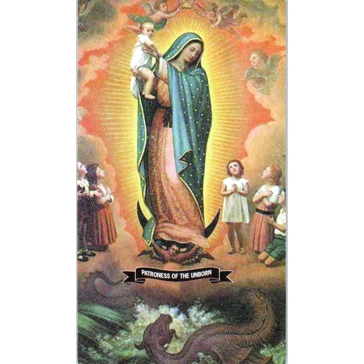 Our Lady of Guadalupe Joliet Diocesan Romeoville IL Vintage Prayer Card TH2-PC1