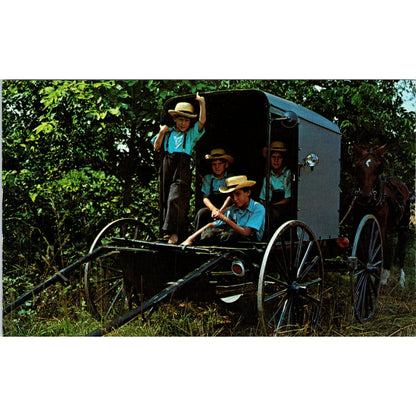 Amish Boys and Horse Buggy Pennsylvania Dutch Country Postcard PD8