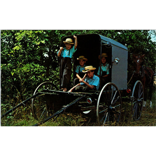 Amish Boys and Horse Buggy Pennsylvania Dutch Country Postcard PD8