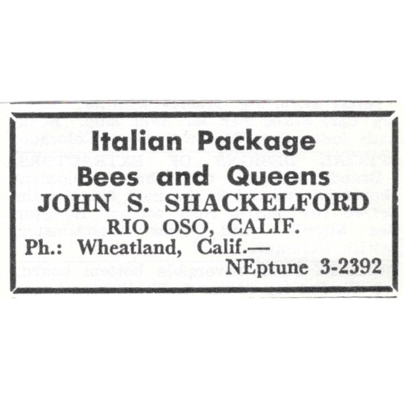 Italian Queens John S. Shackelford Rio Oso California 1961 Magazine Ad AK6-S13
