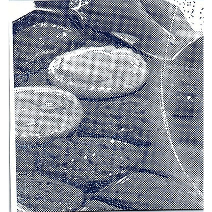 Snell Truck Lines Pierceton, Fort Wayne Indiana 1964 Ad AG1-S15