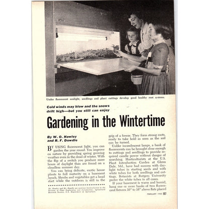 Gardening in the Wintertime W.O. Hawley R.F. Dowdle 2-Page 1955 Article AG1-4